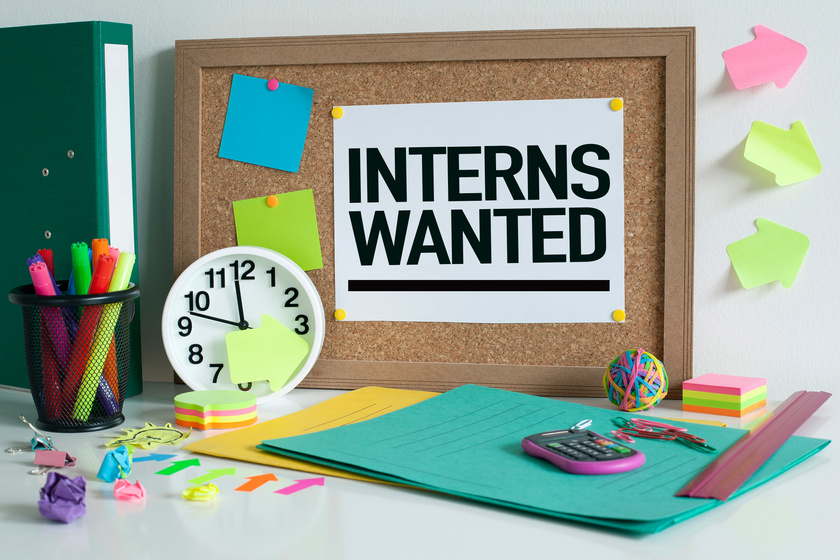 Interns Wanted internship Concept